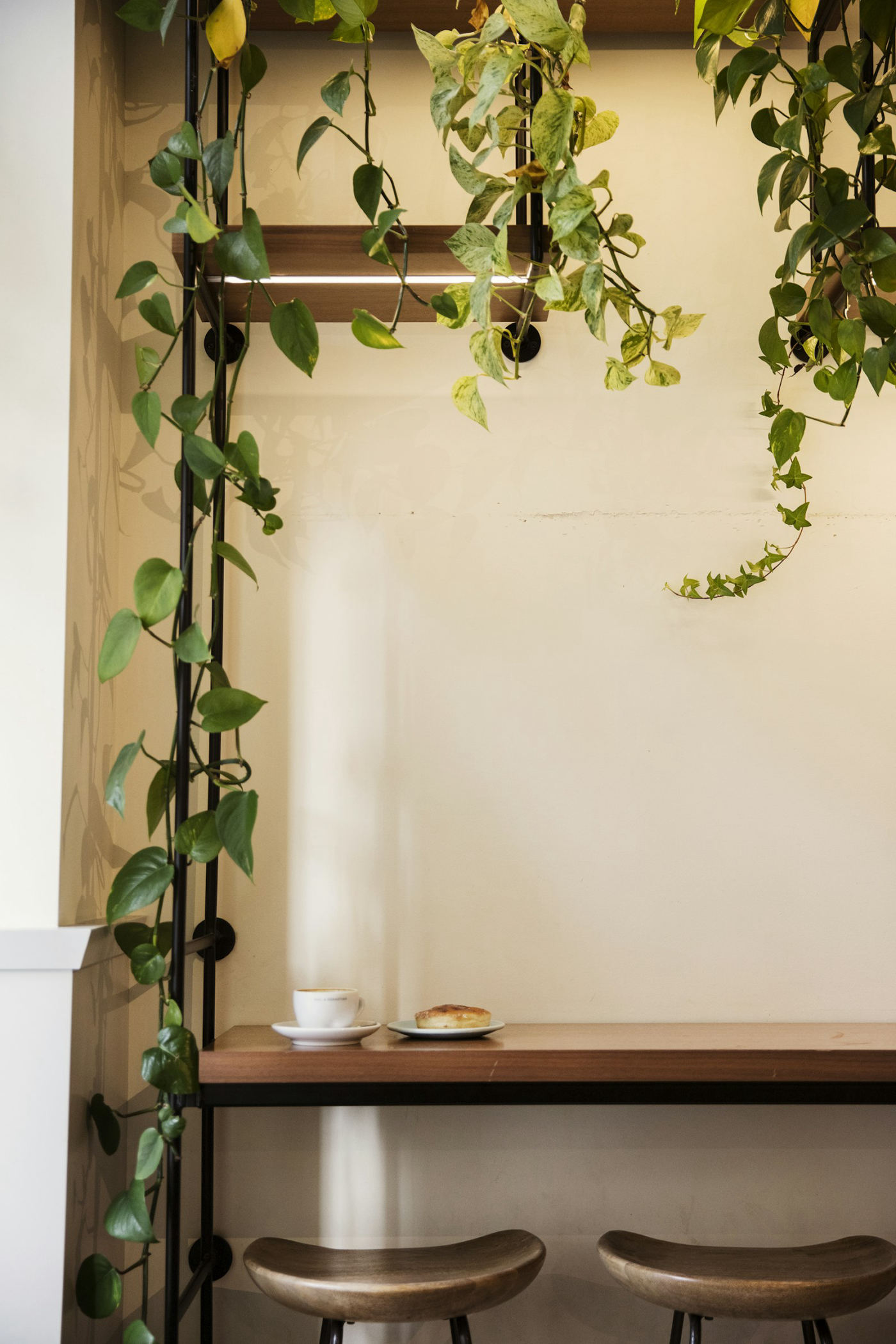 木のテーブルの上の植物とコーヒー